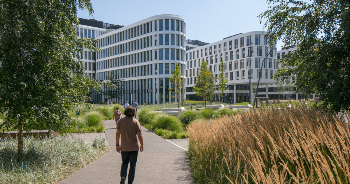 Zagospodarowanie terenu wokół Budynków Business Garden Warszawa